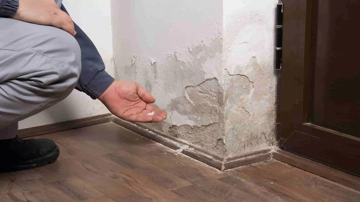 humidade nas paredes