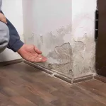 humidade nas paredes