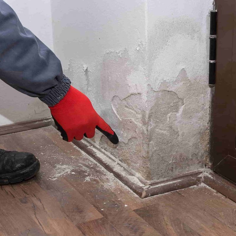 solução tecnológica para humidade