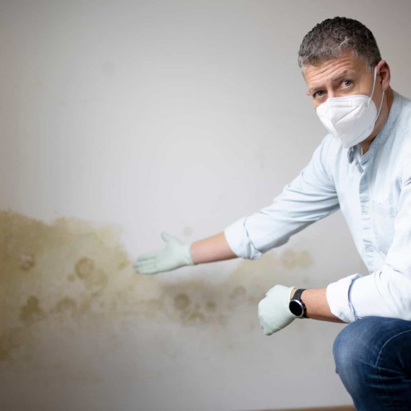 solução tecnológica para humidade