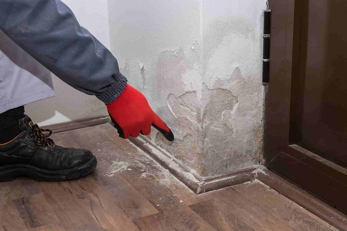 solução tecnológica para humidade